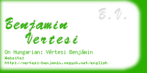 benjamin vertesi business card